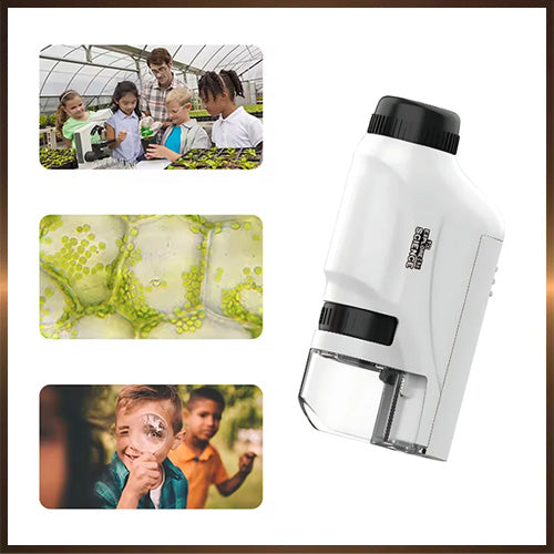 Mini Mikroskop für junge Natur-Entdecker, 60 -120facher Zoom mit LED Licht | für Kinder und Jugendliche