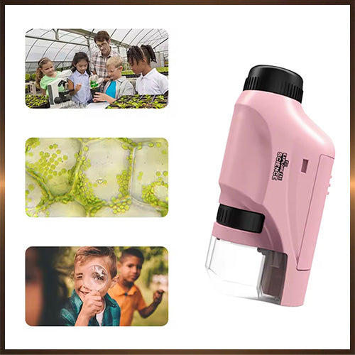 Mini Mikroskop für junge Natur-Entdecker, 60 -120facher Zoom mit LED Licht | für Kinder und Jugendliche